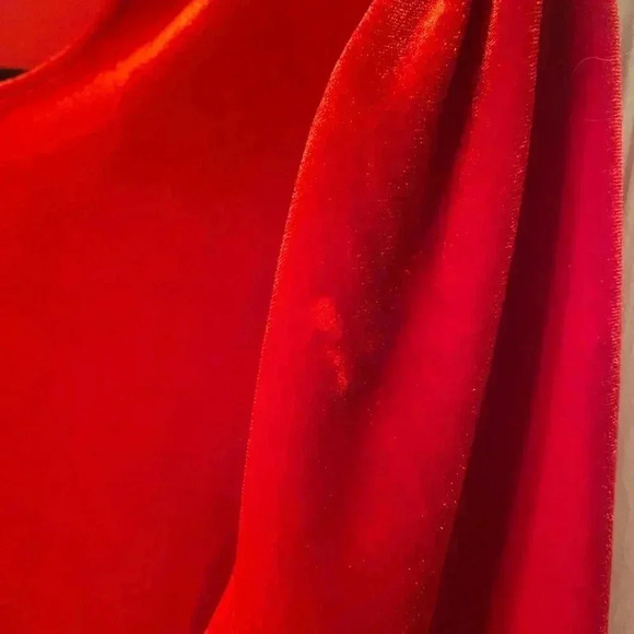 LaRoque Original Velvet Bell sleeve top - Picture 2 of 9